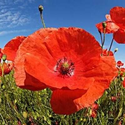 凯时AG登录入口